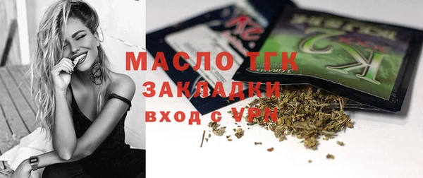 мдпв Ельня