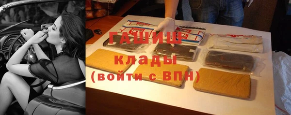 гашик Елизово