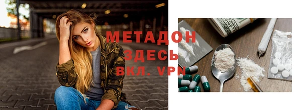 мдпв Ельня