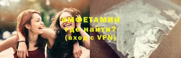 мдпв Ельня