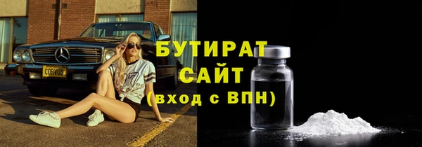 мдпв Ельня