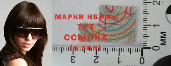 мдпв Ельня