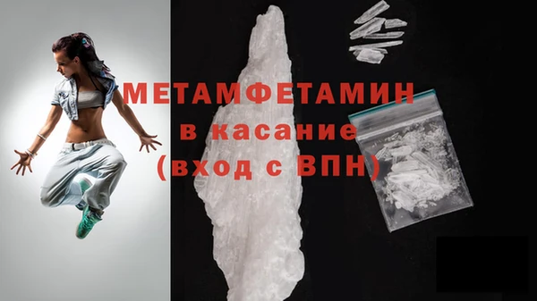 мдпв Ельня