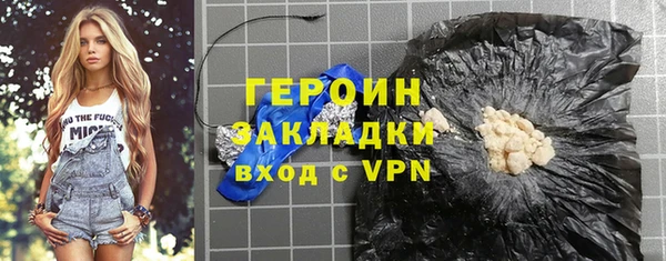 мдпв Ельня