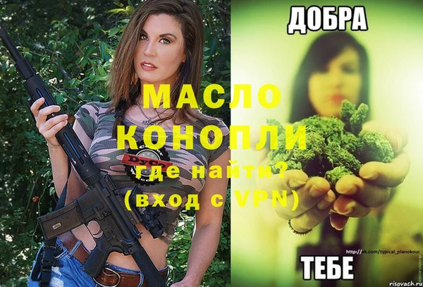 гашик Елизово