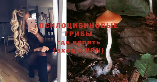 гашик Елизово