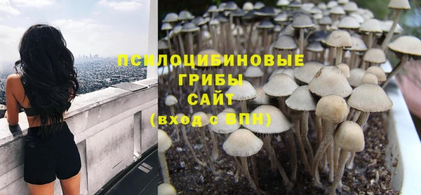 мдпв Ельня