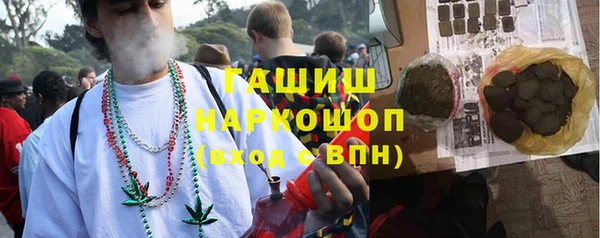 гашик Елизово