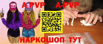 крисы Кулебаки