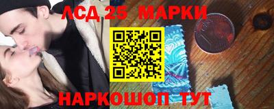 крисы Кулебаки