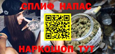 крисы Кулебаки