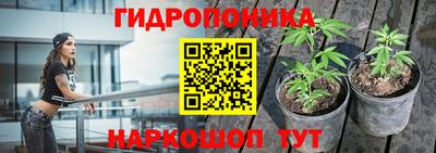 амф Кунгур
