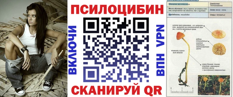 Псилоцибиновые грибы Magic Shrooms  дарнет шоп  гидра вход  Карталы 