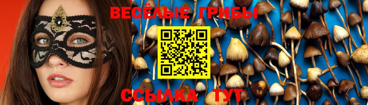 даркнет сайт  Вход с VPN  Карталы  Псилоцибиновые грибы Magic Shrooms 